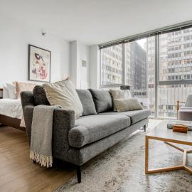 Loop studio w roof deck nr michigan ave CHI-1014