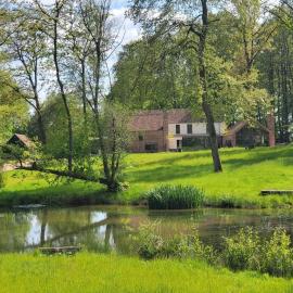 Private Apartment at Woodland Retreat