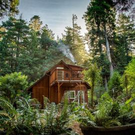 Magical Redwood Getaway-Outdoor Tub & Dog-Friendly, hotel a Fort Bragg