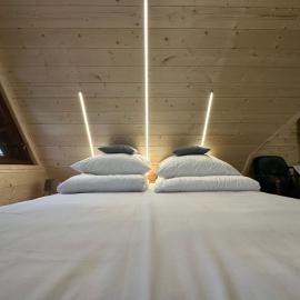 Pienińska Willa Aleksandrówka, hotel in Szczawnica