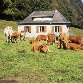 Tourmalet, khách sạn ở Campan