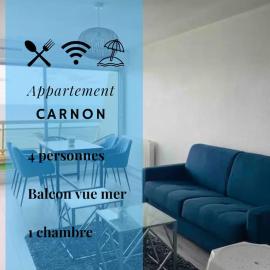 029- Appart 1 chambre, vue sur Mer, 1ère ligne *, hotel a Mauguio