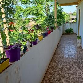 Hotel Los Chow Chow, hotel in Posadas