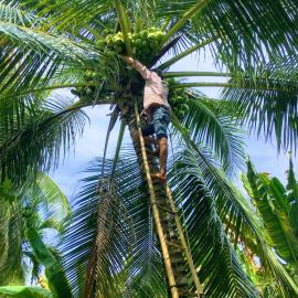 Coco Happy Farm، فندق في Ben Tre