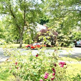 Naperville में, होटल B1 A private room in Naperville downtown with desk and Wi-Fi near everything