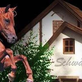 Landhotel Schwärzhof, хотел в Кулмбах