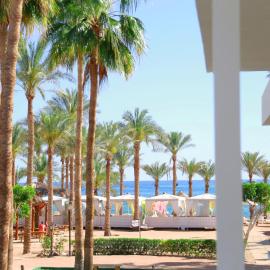 Seti Sharm Palm Beach Resort Families and couples only, hotel v Sharm El Sheikhu
