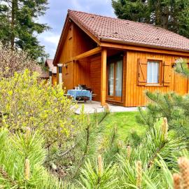 Chalet Myosotis 4