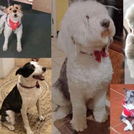 PET FRiENDLY, hotel in Trujillo