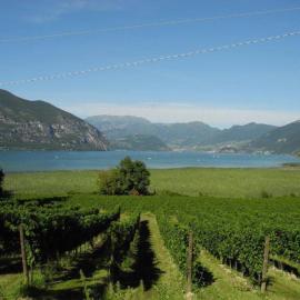 Le Case del Patio Homes, cosy, functional and with swimming pool, hotel di Iseo