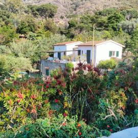 Villetta Sant'Andrea - Goelba – hotel w mieście SantʼAndrea