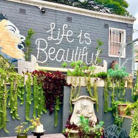 Terebinte Bed & Breakfast、ダーバンのホテル