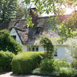 Krabbe 32