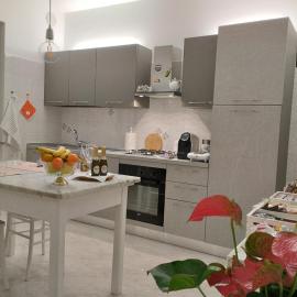 A Casa IDA