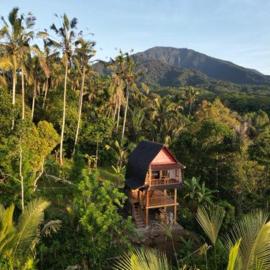 Bali jungle cabin, hotel di Jatiluwih