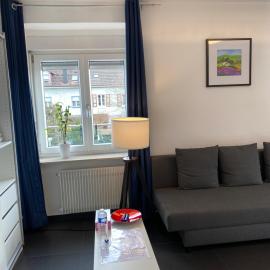 Preiswertes stilvolles Zimmer im privaten Haus mit großem schönem modernem Gemeinschaft Badenzimmer, hotel in Lörrach
