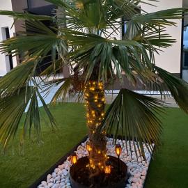 La Palmera del Sotillo, hotel a La Lastrilla