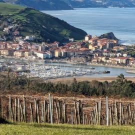 Zumaia Basque Alai, hotel v destinaci Zumaia