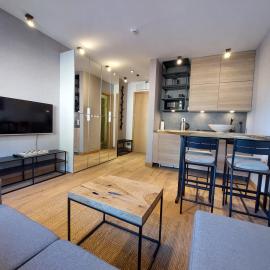 Apartment C519 - Aparthotel Vučko Jahorina - Private Host