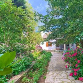Forest cottage top of the world، فندق في Vourgareli