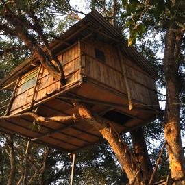 Pemsee's Tree Town - Eco Treehouse Hostel, hotel en Sauraha