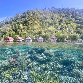 Terimakasih Raja Ampat