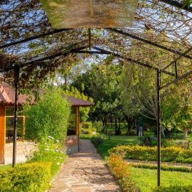 Villa Etelvina, hotel i Torotoro
