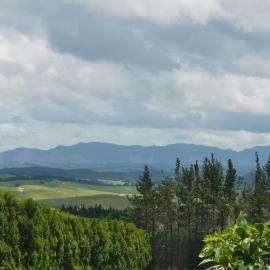 Real Relax Ninety-Nine, hotel in Maungatapere