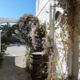 Casita Tomate, khách sạn ở Granada