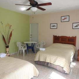 Las Palapas de Punta Allen, hotel in Punta Allen