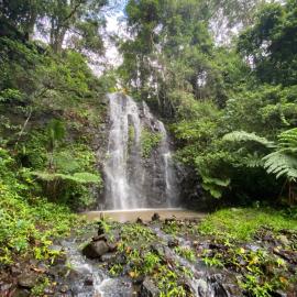 Nimbin में, होटल Nimbin waterfall retreat