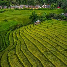 บ้านพักชิปู ป่าบงเปียง, hotel em Ban Mae Pan Noi