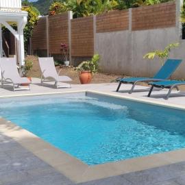 972A - Magnificent ground floor with swimming pool