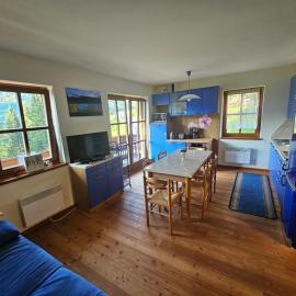 Top location ski-to-door two-bedroom apartment, hotel a Bach