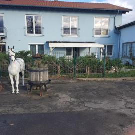 Große 3 Zi Wohnung auf der Pferde Farm, Hotel in Dinglingen