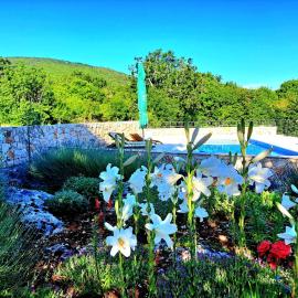 Relaxing Dalmatian house in village, Hotel in Ljubitovica