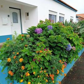 Apartamento da Matilde, hotel in Santa Cruz das Flores