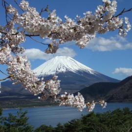 本栖湖畔 民宿 浩庵 Kouan guesthouse at Lake Motosu, hotell i Fujikawaguchiko