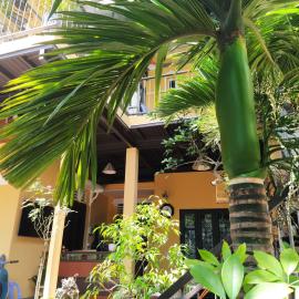 Q' Homestay Garden Villa