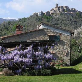 Casa Giusti - Vellano, Pescia, Pistoia