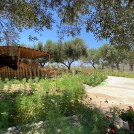 Violet Village, hotel en Borsh