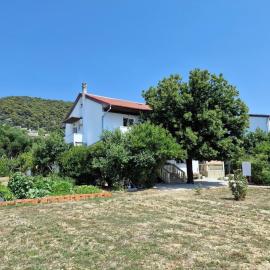 Apartments with parking space Barbat, Rab - 22167