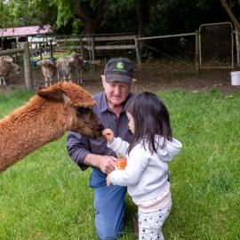 Bellevue Farmstay, Hotel in Scotts Creek