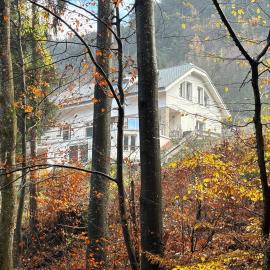 Ruhepol in den Voralpen, Hotel in Waldegg
