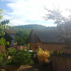 "Côté nature", appartement cosy avec terrasse au cœur de Munster