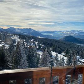 Les Balcons d'Edelweiss, hotel en Chamrousse