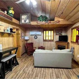 Cozy Cabin Walking Distance to Parkway!