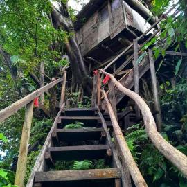 Castle Tree House And Bungalow, hotell i White Sands