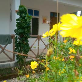 Usumba Lodge, hotel u gradu 'Chejuu'