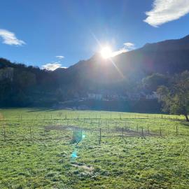Au bord du gave, hotel in Laruns